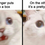 Scientists Hate These 82 Hilarious Memes That Totally Mock Their Theories—You Won’t Believe #27!