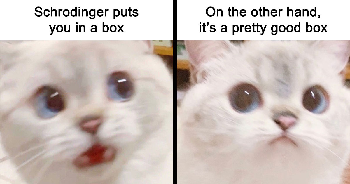 Scientists Hate These 82 Hilarious Memes That Totally Mock Their Theories—You Won’t Believe #27!