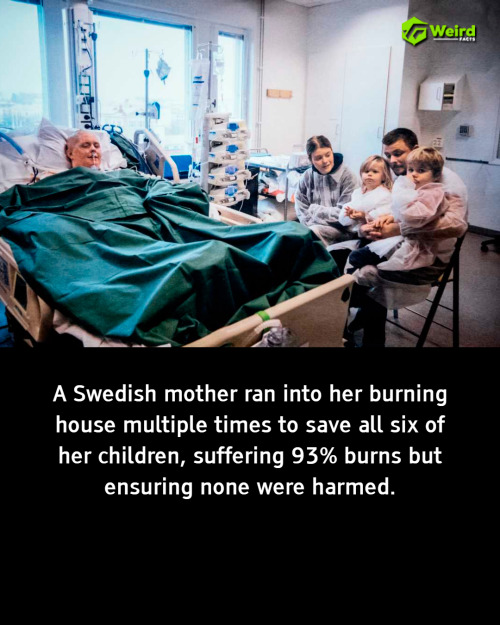 Shocking Revelations Surface: What Aftonbladet, Instagram, and Euroweeklynews Are Hiding from the Public!