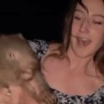 Shocking Twist in Baby Wombat Case Reveals Darker Secrets Behind Influencer’s Actions