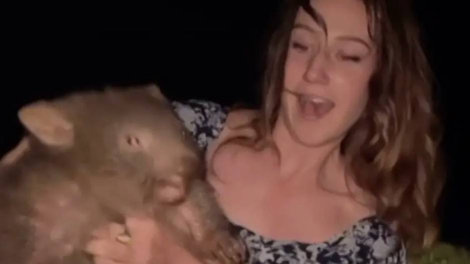 Shocking Twist in Baby Wombat Case Reveals Darker Secrets Behind Influencer’s Actions