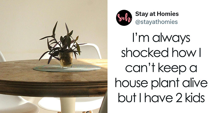 The Hilarious Truth About Motherhood Only Moms Will Understand—Are You Ready to Laugh and Cry?