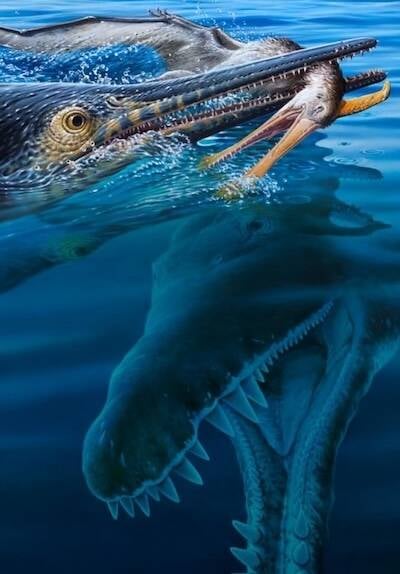 Unraveling a Prehistoric Predator Chain: Fossil Reveals Shocking Multi-Species Meal Mystery in Ancient Australia