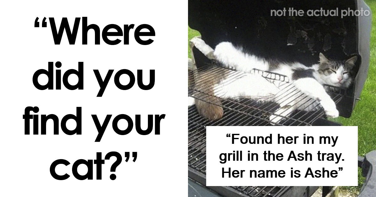 Unveiling the Secret World of Cats: How Pet Owners Exposed the Mysterious Feline Distribution Network