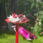 What Crows Left Behind After She Forgot Their Food Will Leave You Speechless: ‘They’re Training You’