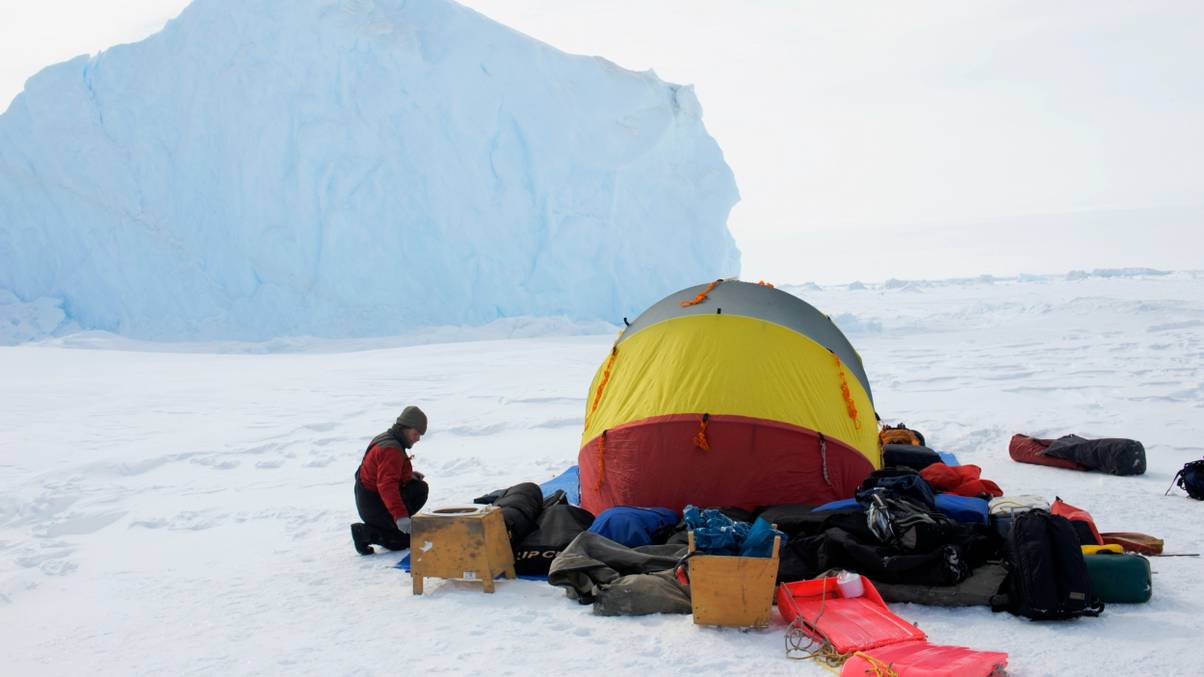 Why Have Only 11 People Ever Been Born in Antarctica? The Unexpected Truth Revealed