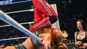 WWE Star Brie Bella's Mysterious SummerSlam Injury Sends Her to Hospital—What Really Happened?