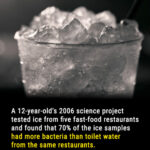 10 Bizarre Facts You Won't Believe Are True—Prepare to Be Amazed!