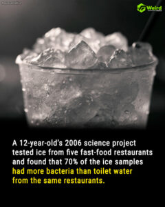 10 Bizarre Facts You Won't Believe Are True—Prepare to Be Amazed!