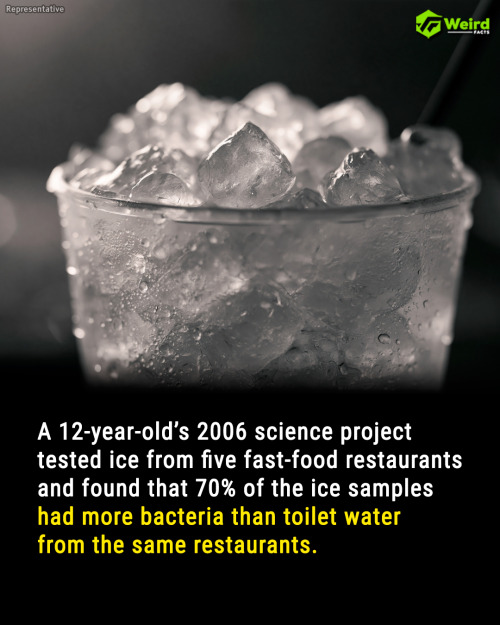 10 Bizarre Facts You Won't Believe Are True—Prepare to Be Amazed!