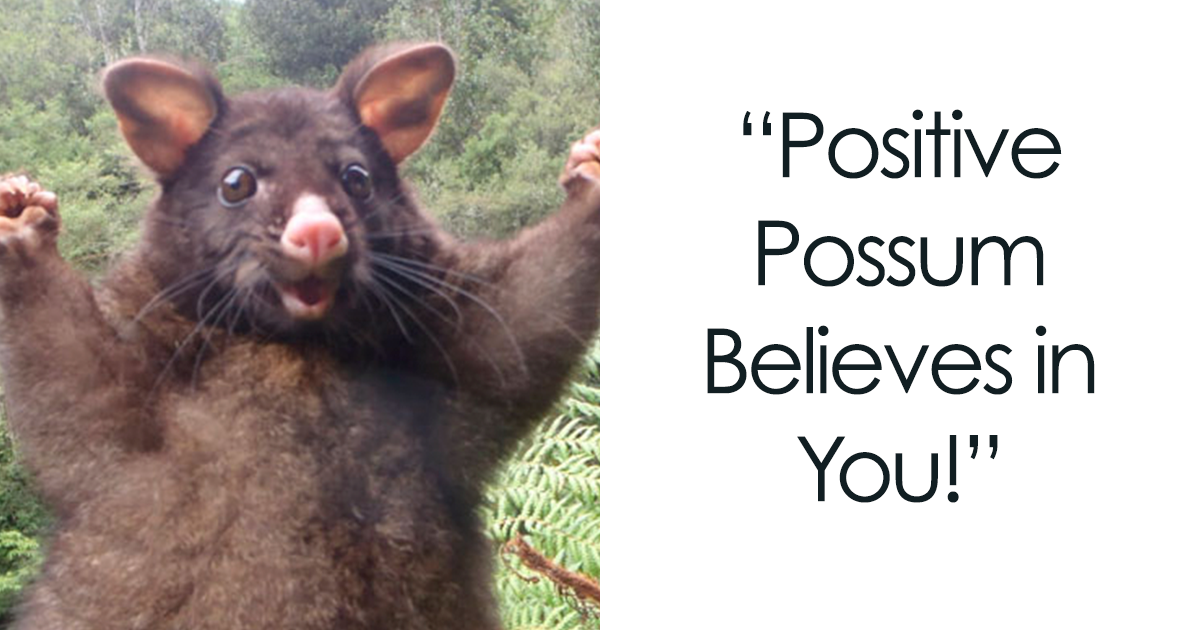 37 Unexpectedly Powerful Memes That Will Change How You Face Tough Times Forever
