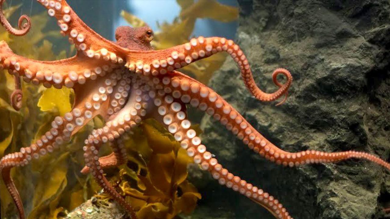 68 Astonishing Nature Photos That Reveal Secrets You’ve Never Seen Before (New Pics)
