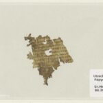 Ancient Odyssey Secret Unearthed: 1,700-Year-Old Manuscript Fragment Discovered in University Library Stuns Scholars