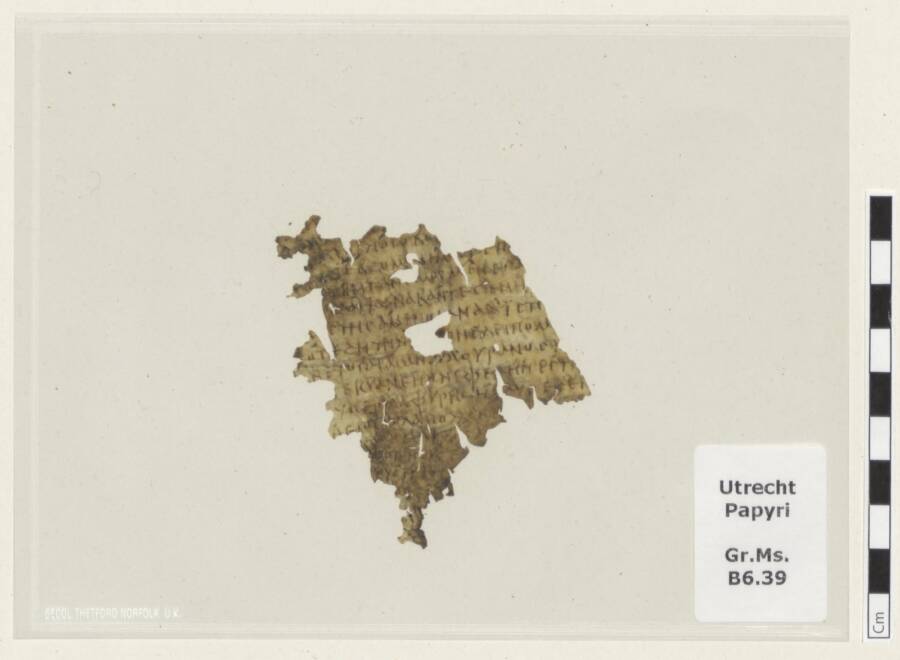 Ancient Odyssey Secret Unearthed: 1,700-Year-Old Manuscript Fragment Discovered in University Library Stuns Scholars