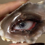 Artists Transform Seashells with Eerie Human Eyes, Blurring the Line Between Reality and Surrealism (33 Pics)