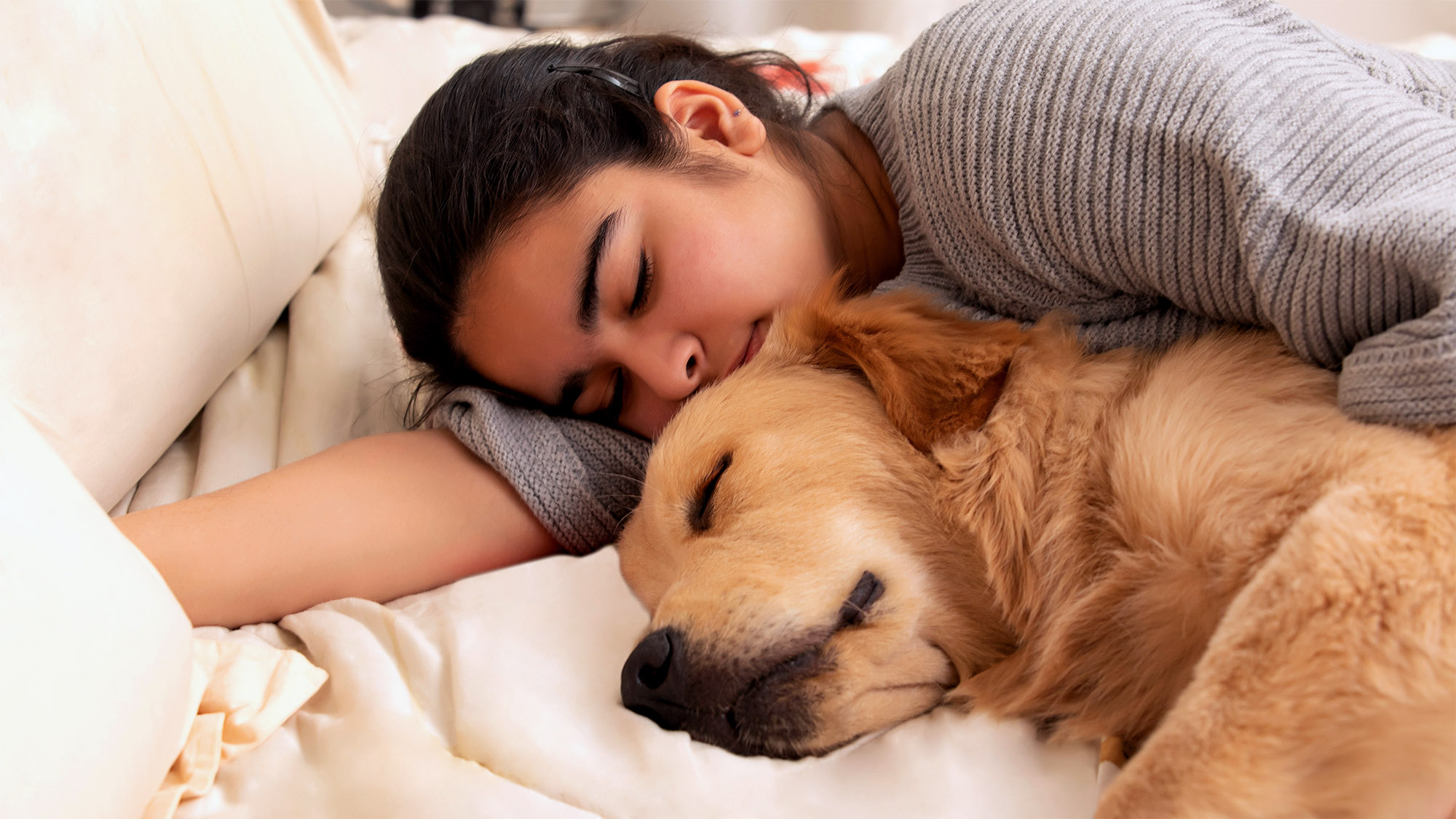 Should You Really Let Your Dog Sleep in Your Bed? The Surprising Truth Revealed