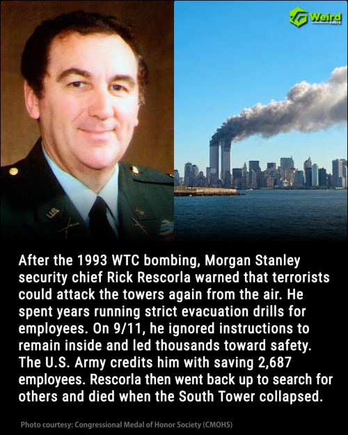Uncovering Hidden Truths: What the Army, 9/11 Commission, and New Yorker Aren't Telling You