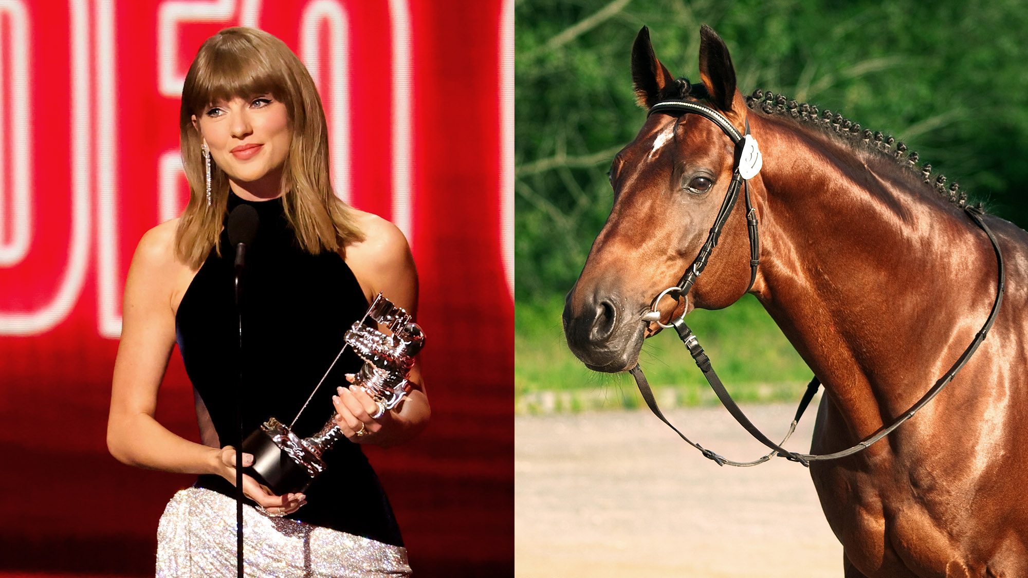 Unstoppable Taylor Swift Dethrones Legendary Waltzing Horse in Jaw-Dropping VMAs Upset