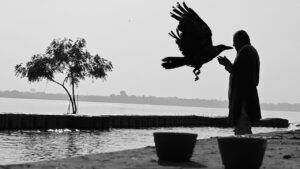 You Won't Believe These 66 Photos Captured at the Perfect Moment—No Fancy Equipment Needed!