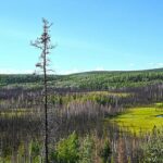 13,000-Year-Old Artifacts Unearthed in Alaska Reveal Secrets of Earth’s Earliest North American Settlers