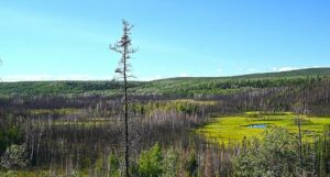 13,000-Year-Old Artifacts Unearthed in Alaska Reveal Secrets of Earth’s Earliest North American Settlers