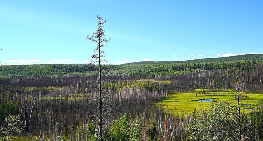 13,000-Year-Old Artifacts Unearthed in Alaska Reveal Secrets of Earth’s Earliest North American Settlers