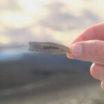 Ancient Arrows Unearthed in Norway’s Melting Ice Spark Mysteries 6,000 Years in the Making