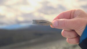 Ancient Arrows Unearthed in Norway’s Melting Ice Spark Mysteries 6,000 Years in the Making