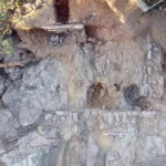 Ancient Secrets Unearthed: Workers Unearth Mysterious Roman-Era Dwelling Hidden Beneath Corsican Coastbedrock