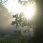 Discover the Bizarre Truth Behind the 10 Places Where Dying Is Against the Law—and Why It Matters More Than You Think