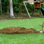Mysterious Backyard Burials Surge as Americans Secretly Choose Neighbors’ Lawns for Final Rest