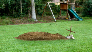 Mysterious Backyard Burials Surge as Americans Secretly Choose Neighbors’ Lawns for Final Rest