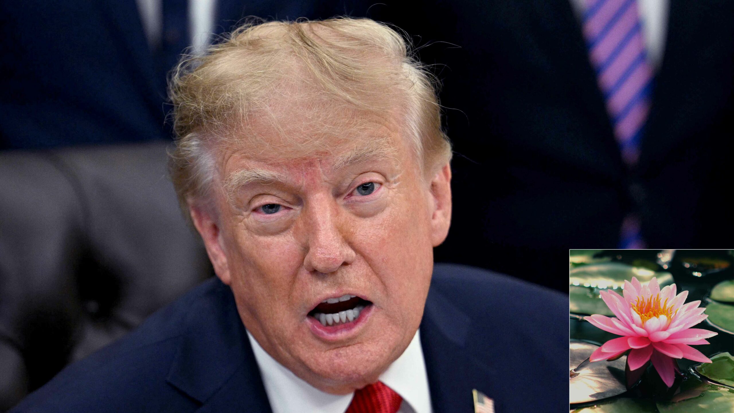 Mystery Unfolds as Trump Targets the Lotus Flower in Bizarre Truth Social Haiku