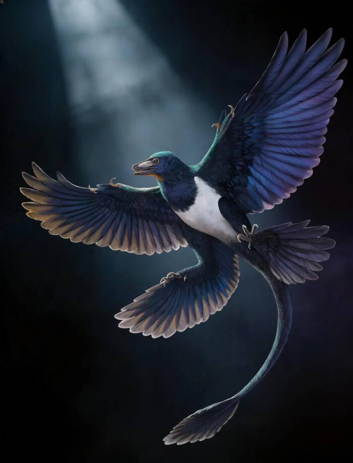 Scientists Uncover Bizarre Four-Winged Dinosaur That Defies Evolutionary Science