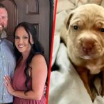 Shocking Confession: Florida Mom Speaks Out After Shattering Arrest, Vows to Rebuild Life Against All Odds