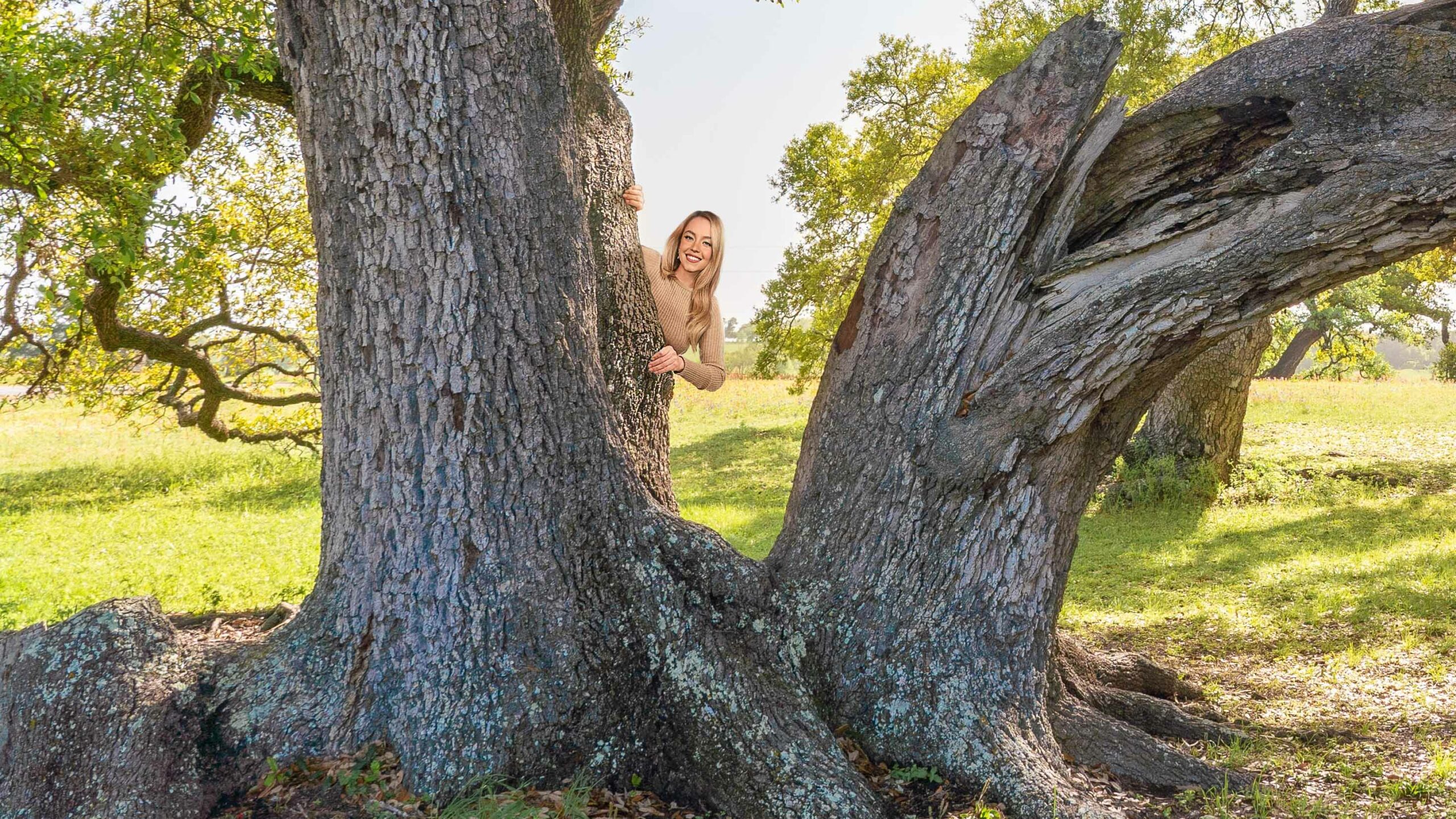 Sydney Sweeney Vanishes Behind Oak Tree—But Her Breasts Mysteriously Resurface Nearby
