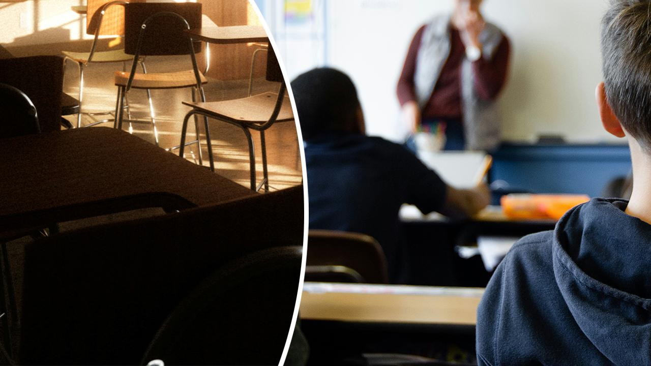 Teen Girls’ Chilling Revenge Plot: Months of Research Unveil Dark Motives Behind California High School Attack Plan