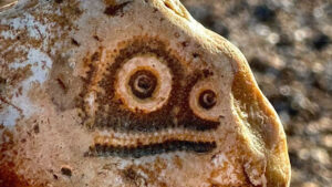 These 80 Everyday Objects Will Creep You Out with Their Unexpected Stares—Can You Unsee Them?