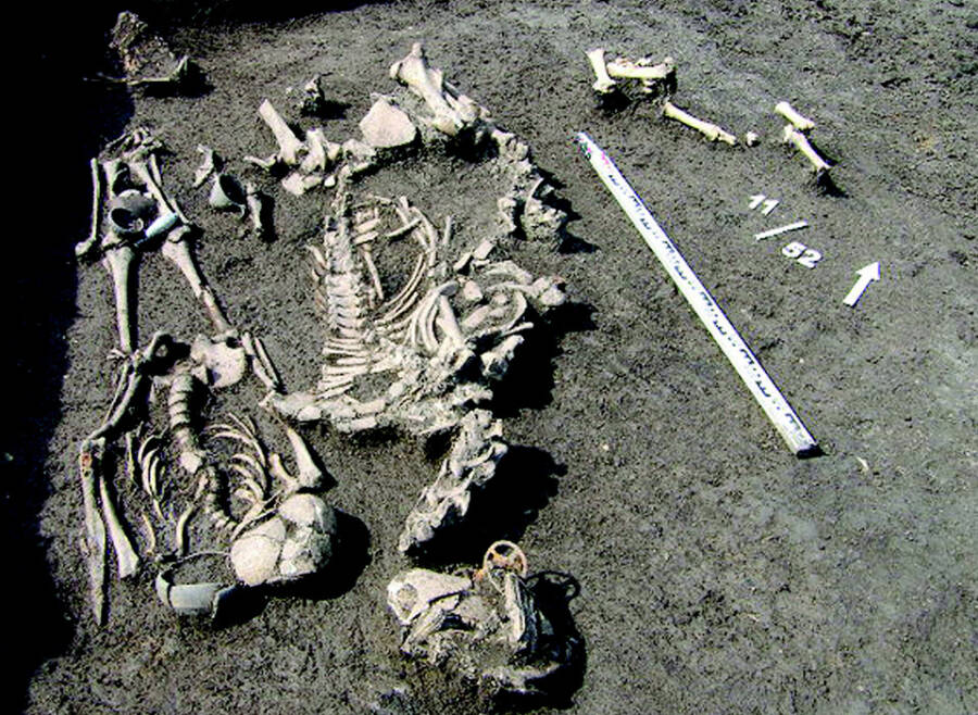 Unearthed in Russia: Mysterious Ancient Warrior’s Grave Reveals Pentagram, Sacrifices, and Secrets Lost to Time