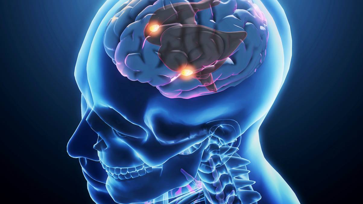 Unlocking the Brain’s Secret Trick: How Our Mind Perfectly Completes Missing Visual Details