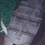 Unveiling the Ocean's Abyss: A Chilling Simulation Reveals Depths You Never Imagined
